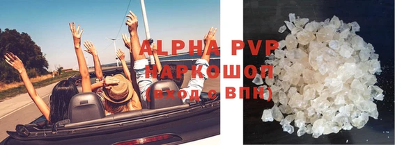 гидра Пересвет