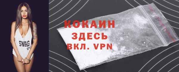 гидра Пересвет