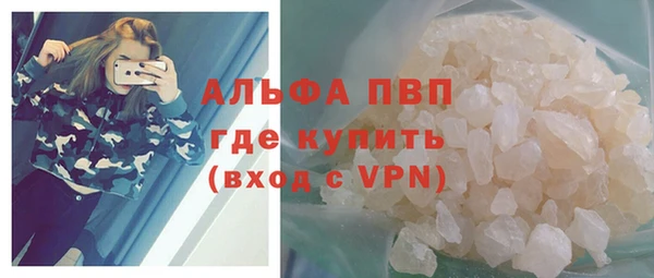 гидра Пересвет