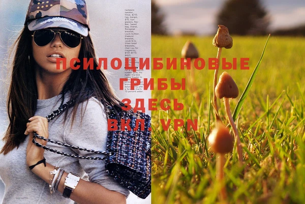 герыч Пестово