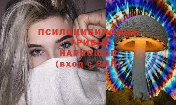 мдпв Санкт-Петербург