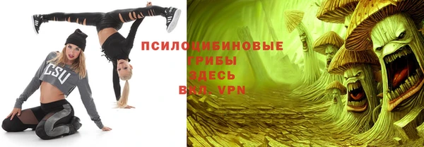 герыч Пестово