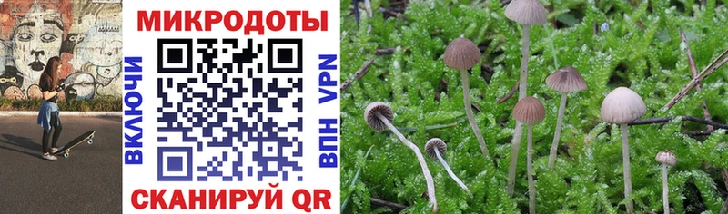 Галлюциногенные грибы Magic Shrooms Сосногорск