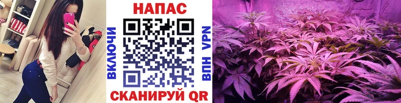 где продают наркотики  Сосногорск  Конопля Bruce Banner 